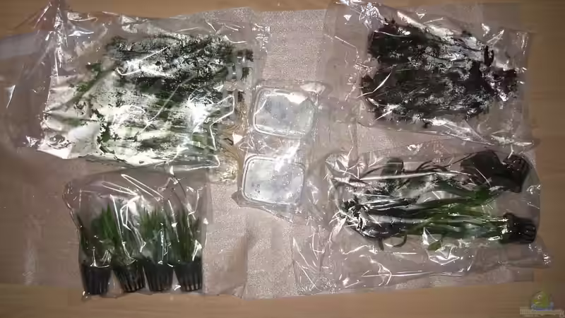 So hier ist die frische Ware von Matoba (22)