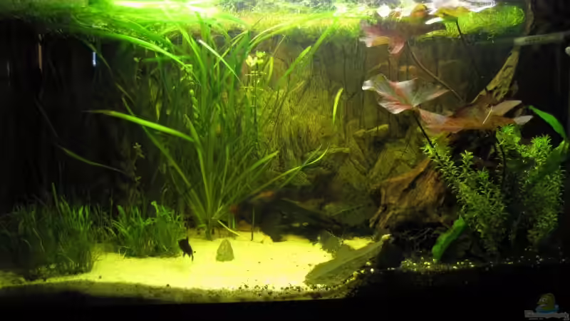 So ist der Stand heute (23.07.09) von NilsH86 (4)