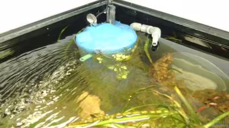 So ist der ZMF (eine HMF-Variante) im Normalbetrieb von Andreas Gross (9)