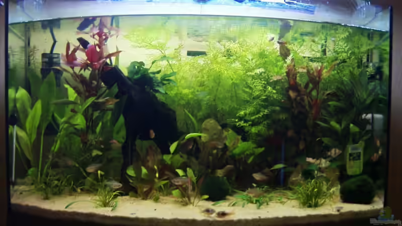 So ist es im Moment. von Oliver Strohschein (1)