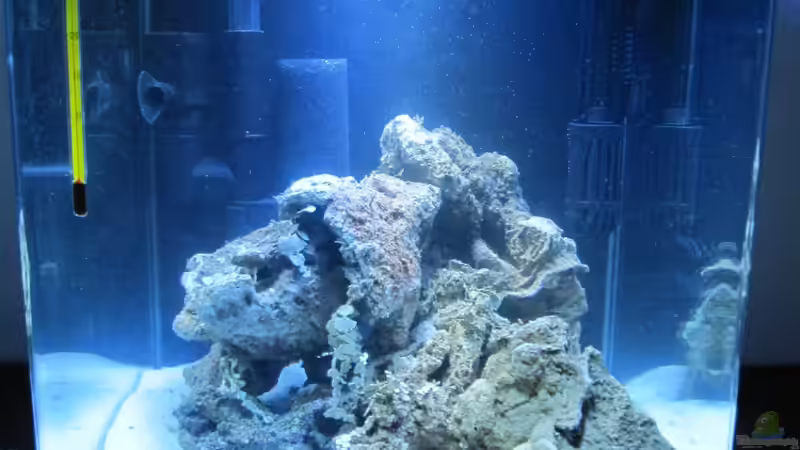 So jetzt mal einfahren!! von Haens84 (3)