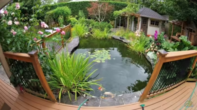 So kombinierst du einen Teich mit Gartenpflanzen in einem einzigen Design