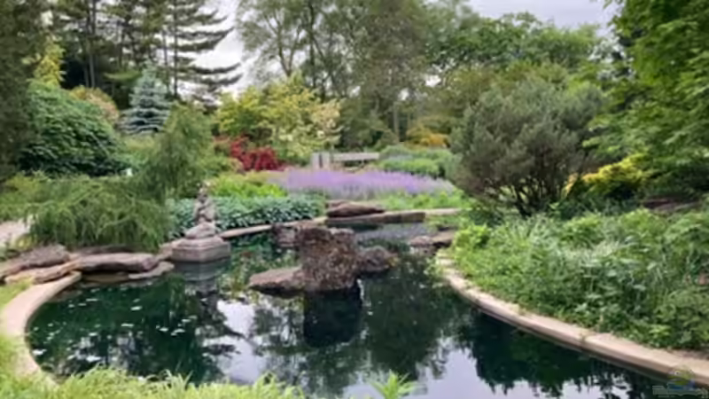 So kombinierst du einen Teich mit Gartenpflanzen in einem einzigen Design