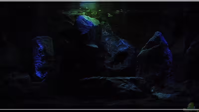 So langsam... von ***ELLIS*** (11)