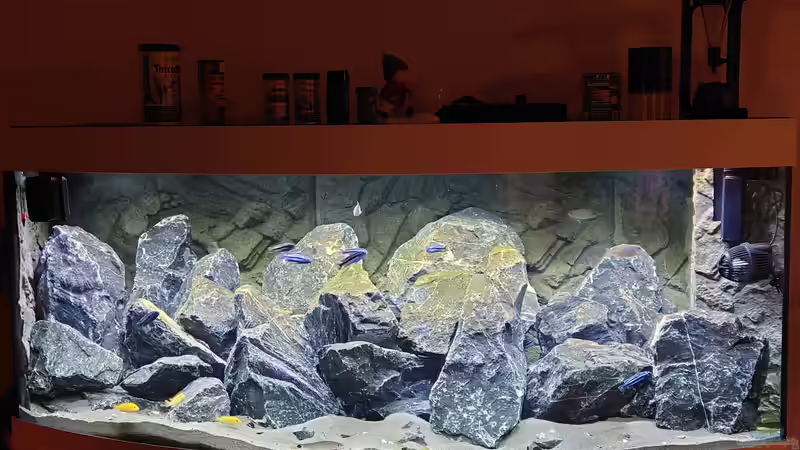 So langsam bilden sich Beläge  von Stefan von Oettingen (8)