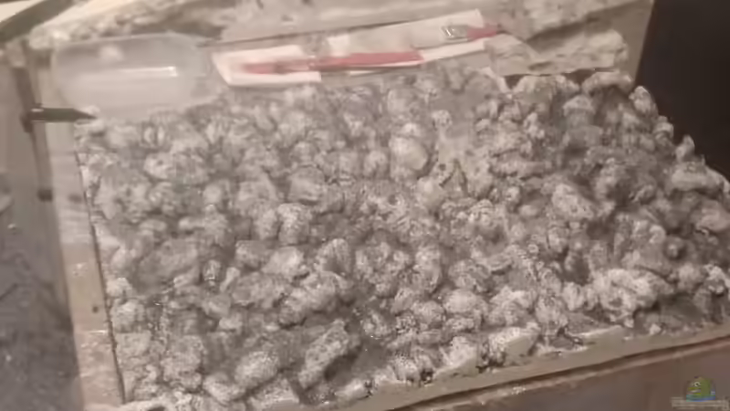 So langsam erahnt man die spätere Struktur von Wilhelm94 (7)