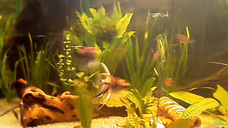 so langsam grünt es,linke Seite 8.4.09, Lochgestein ist weg! von Carmen Bernhardt (2)