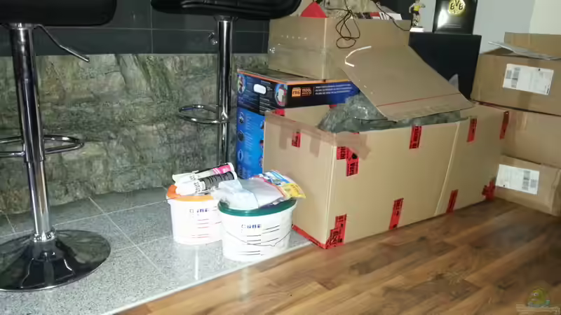 So langsam kamen die Pakete von Thomas B. (16)