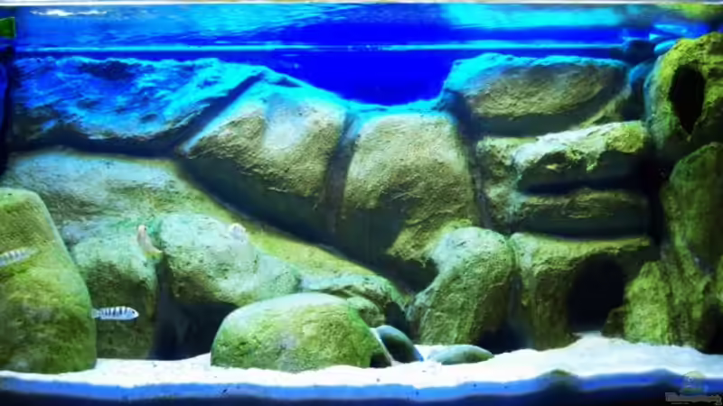 so langsam tut sich was von jankov (6)