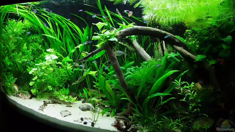 So langsam wird es :-) von Denise83 (1)