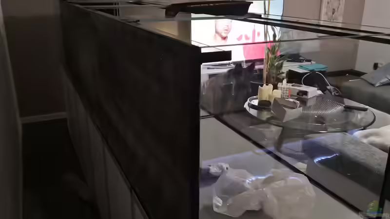 So nach 4 x streichen paßt das jetzt ! von Florian Bandhauer (44)