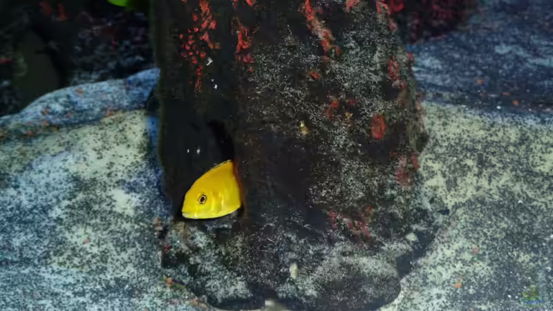 So ne´ Höhle hat was von Couro (63)