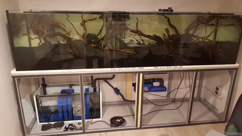 so nun können die Wurzeln erstmal wässern von Sven Oelze (27)