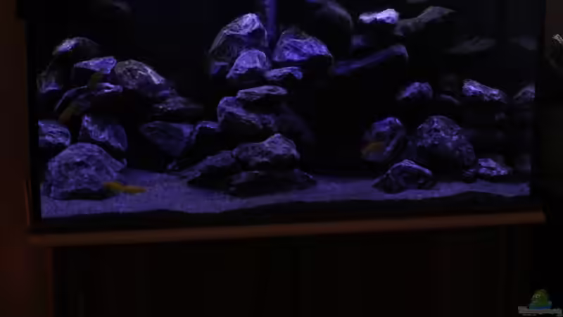 So nur die Kaltweiße LED und die Blaue !! von Sergio10 (8)