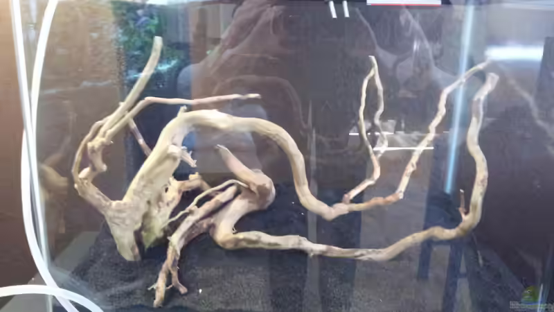 So passt sie rein... von feuervogel-82 (3)