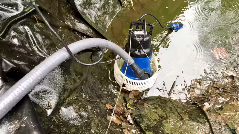 So pflege ich meinen Teich, mein Biotop