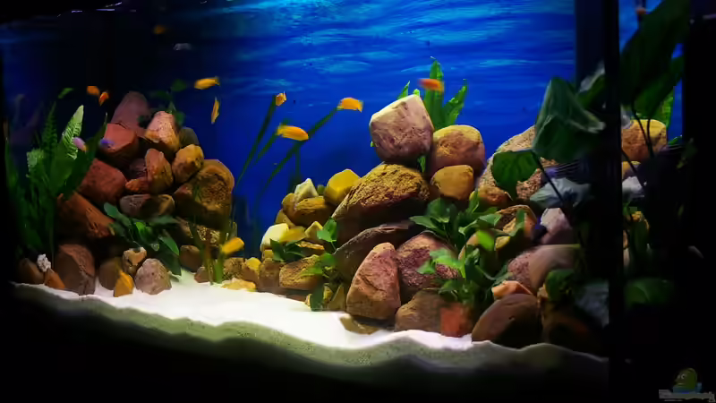 So sah das 240er vorher aus! von Hr.Lampe (2)