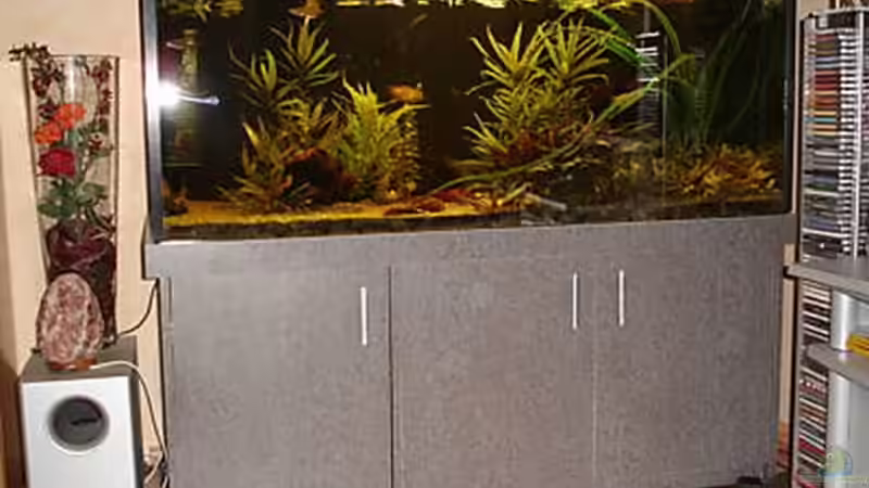 So sah das Becken aus wie ich es gekauft habe... von Grobi (4)