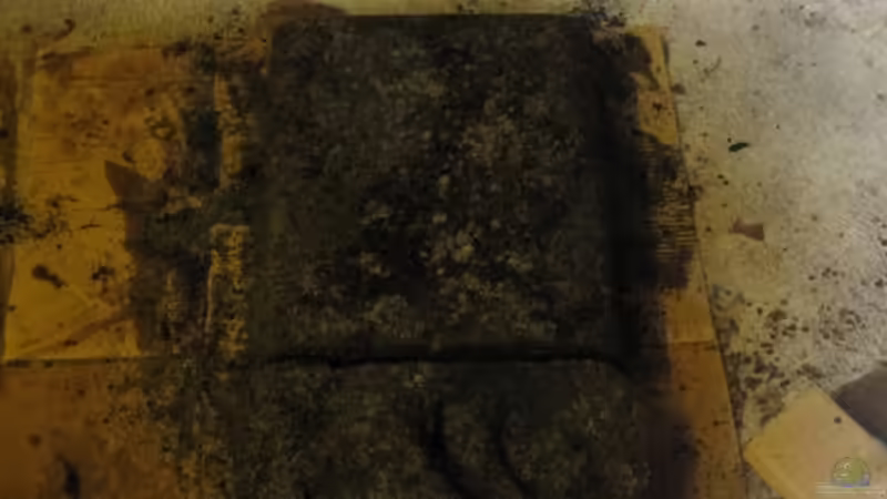 So sah das ganze getrocknet aus von dirkvader71 (27)