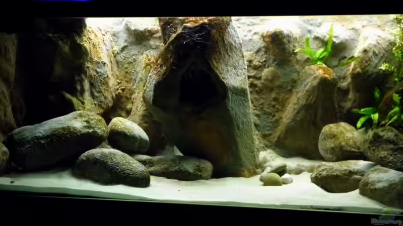 so sah es am Amfang aus von Franek (2)