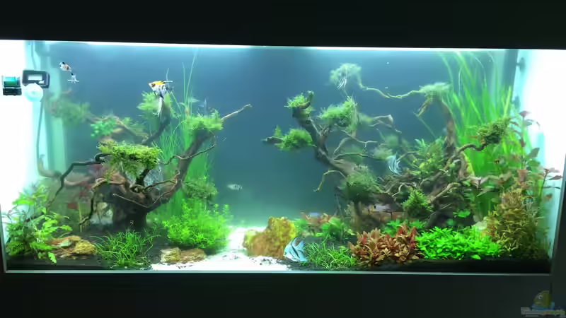 So sah es am Anfang aus von Der_Renner (3)