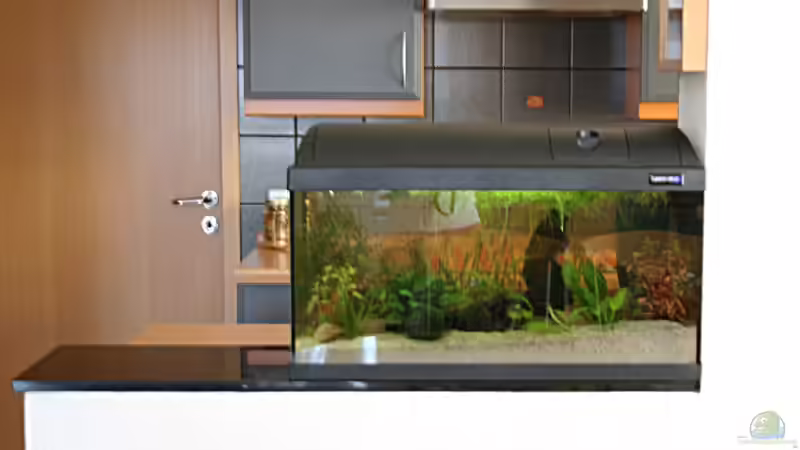 So sah es aus, habe ein wenig gegärtnert :D (alt) von Garnelenmami (5)