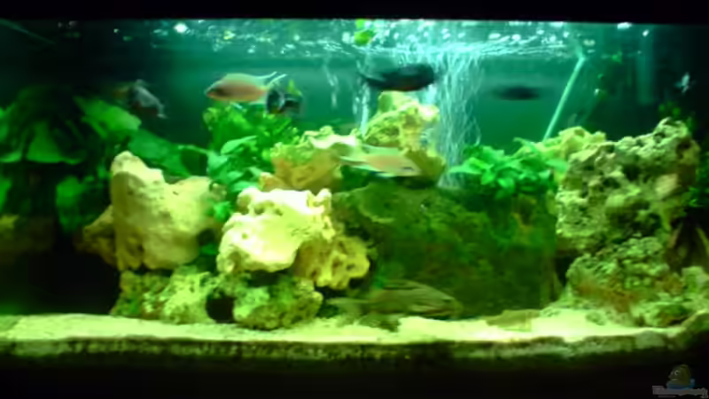 so sah es bis zum 06.01.09 aus von Jonathan Helbig (5)