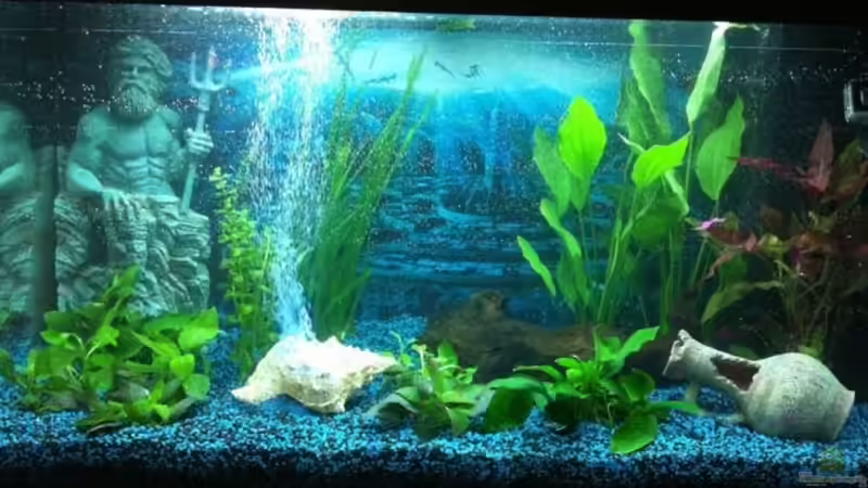 So sah es kurz nach dem Einrichten aus von Yasmine (3)