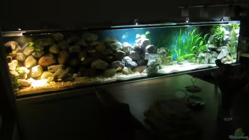 So sah es mal aus... von Raid_0 (10)