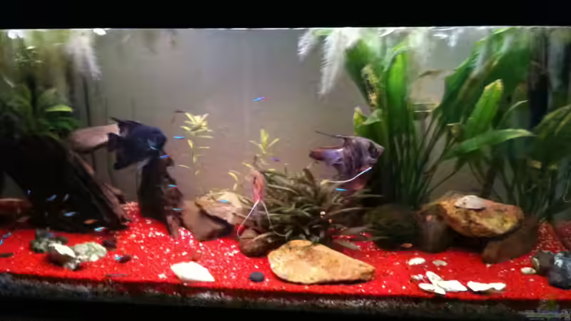 so sah es mal aus, vor dem Umbau von Mueller76 (2)