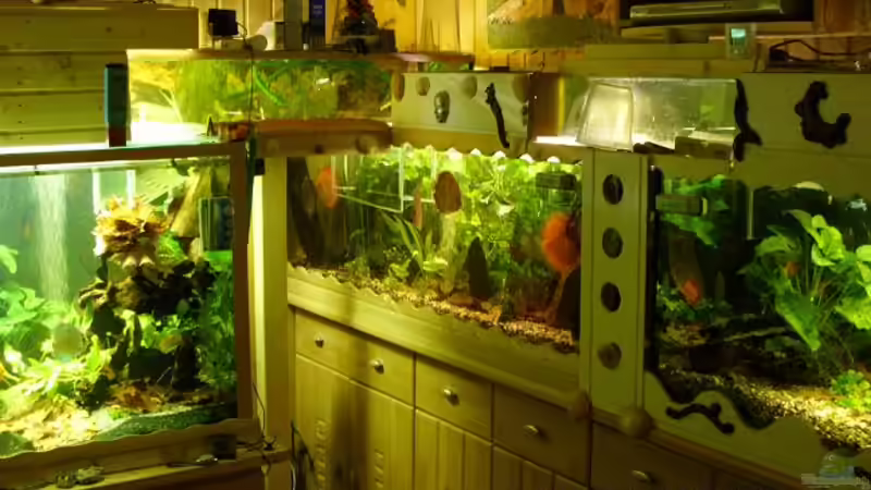 So sah es mal aus von Ulrich Sauerhering (23)