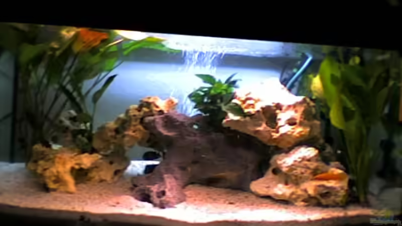 so sah es nach der Neueinrichtung aus von Jonathan Helbig (2)