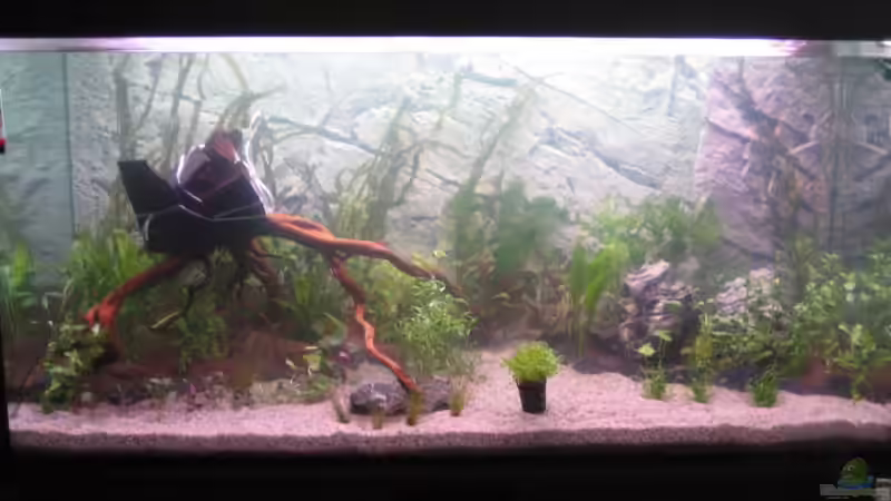 So sah es noch am 22.02.2008 aus von xmarkusx (3)