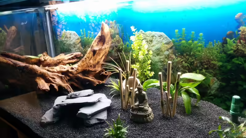 So sah es vor dem Einfüllen des Wassers aus