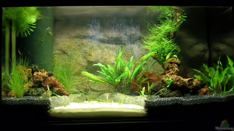 So sah es vorher aus von Der Analyst (9)