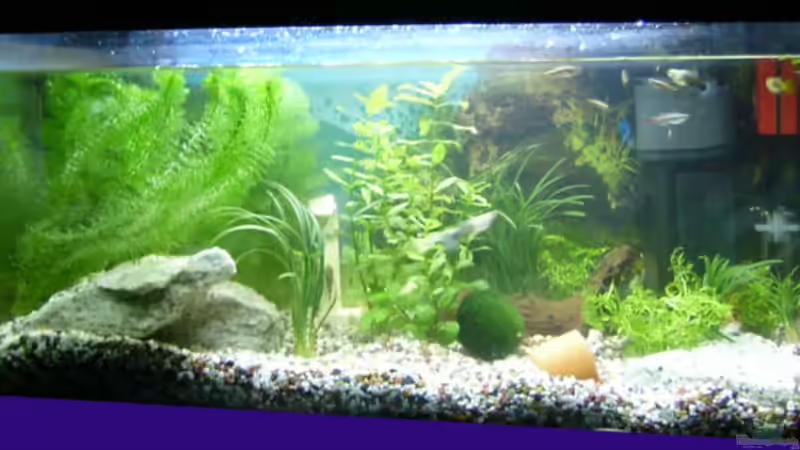 So schauts aus, mein erstes eigenes Becken von Julia Kerz (1)