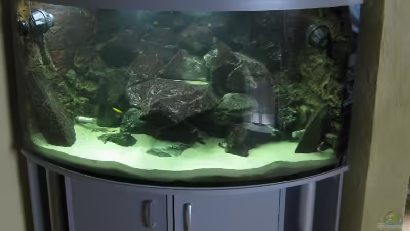 So schauts aus von HessiJames (2)