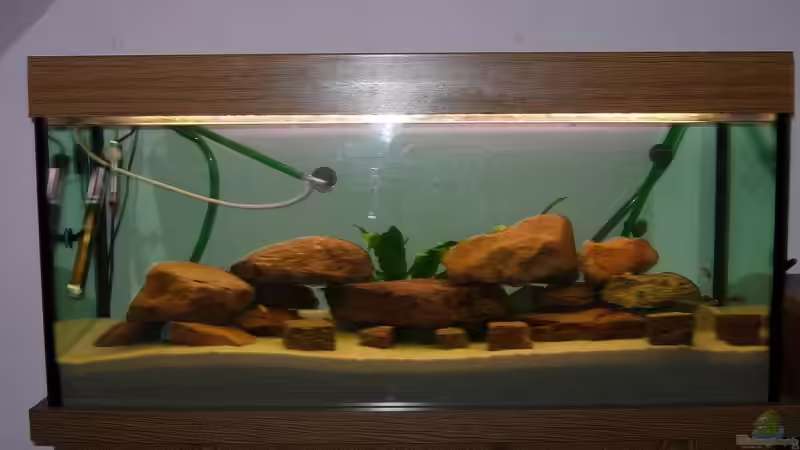 So sieht das Beken aus von Florian Voß (1)