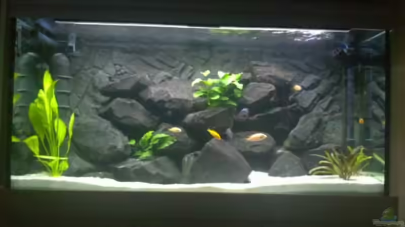 So sieht es aktuell aus. Das Licht kommt heller rüber, als es eigentlich ist. von J.Co. (6)