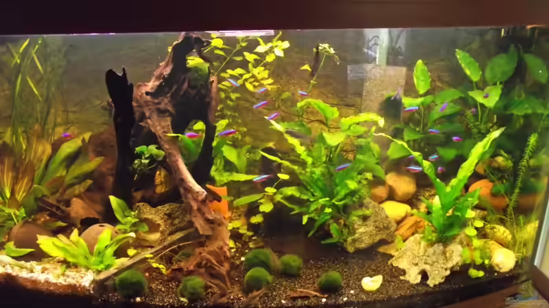 So sieht es jetzt aus seit dem 20.05.2013 von Detlef Peter (1)