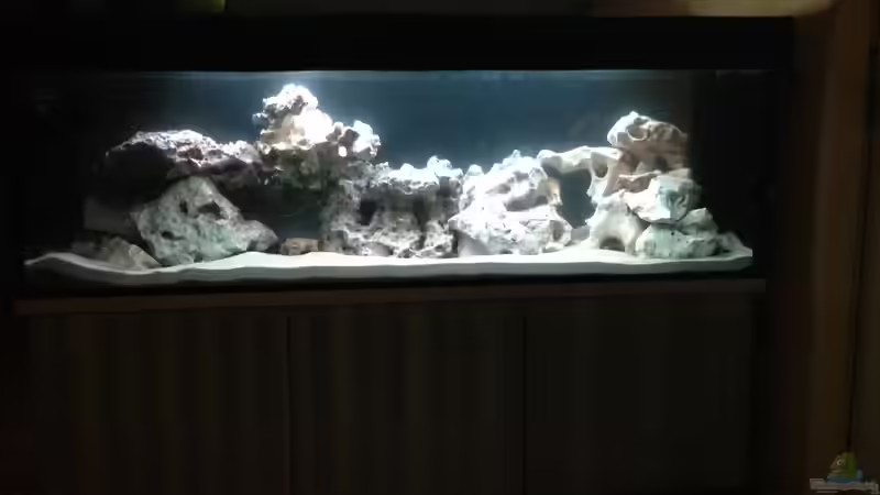 So sieht es jetzt aus von DDT (3)