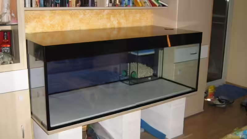 So sieht es schon ganz gut aus ! von Thorsten Witting (4)