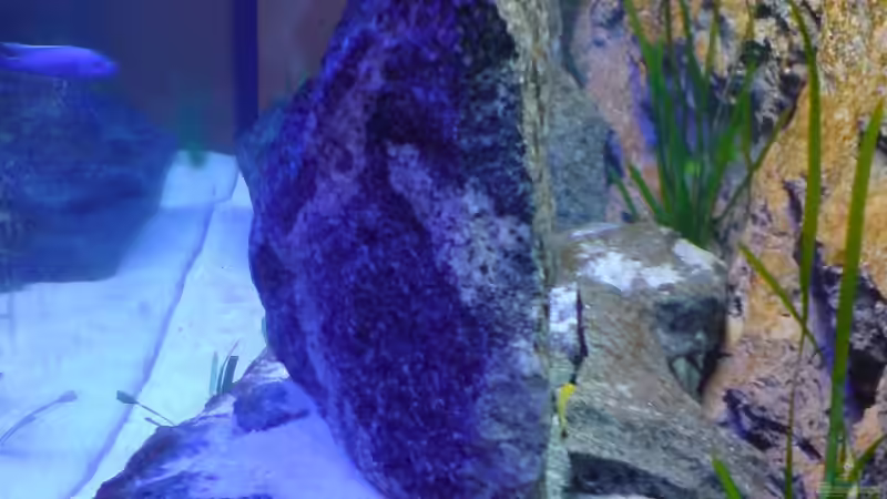 So sieht mein Becken von der Seite aus von Dommsel (15)