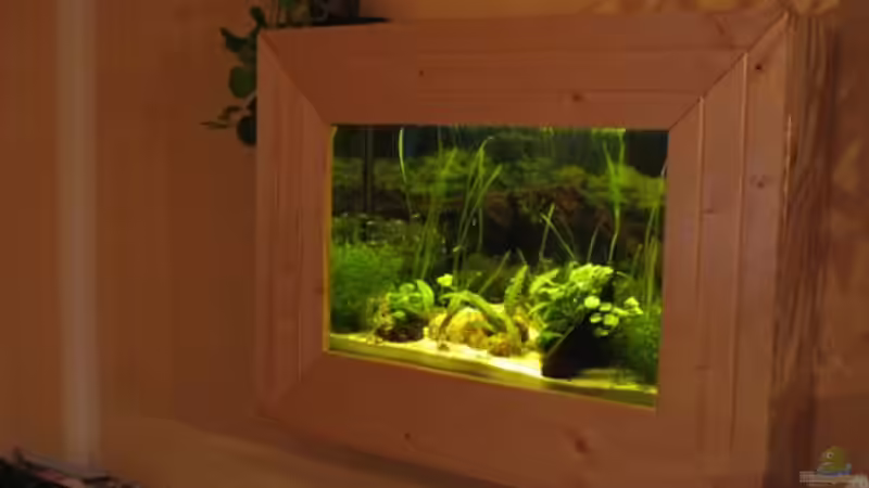 so siehts an der Wand aus von Stefan Zaus (1)