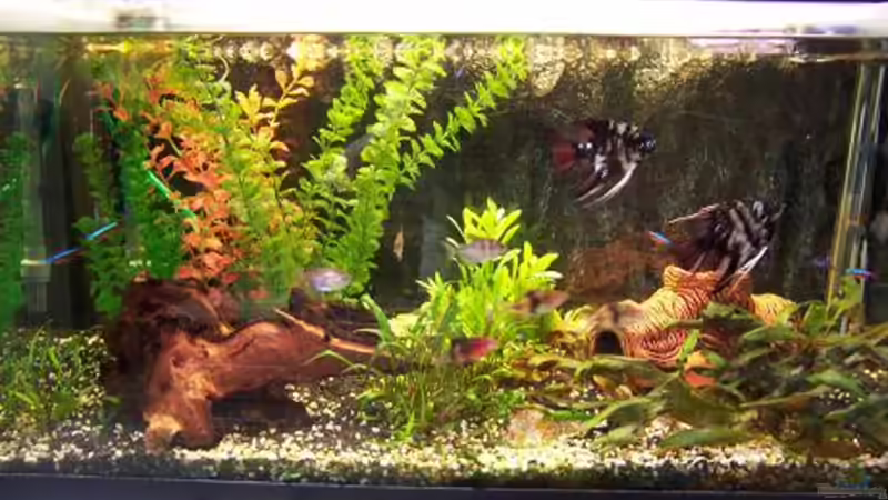 So siehts aus wenn sie passgenau hinter dem AQ steht von Nicole Dobler (8)