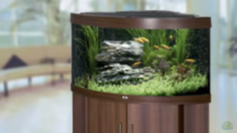 So siehts im Prospekt aus von Fossybear (23)