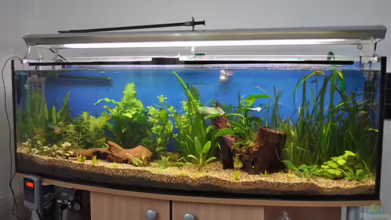 So siehts jetzt am 11.02.10 17 Uhr aus  von Salmlerdream (9)