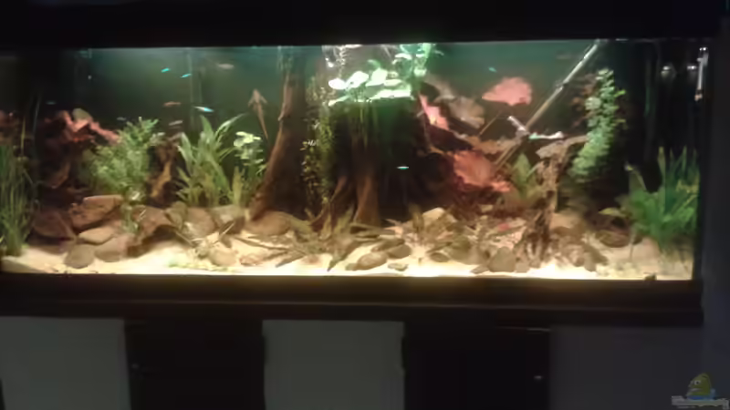 So sieht´s mittlerweile aus