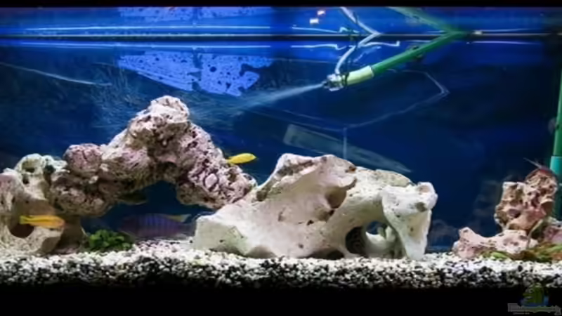 so siehts tagsüber aus von Volker Katers (1)