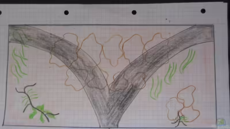 So soll das 430 Liter Becken gestaltet werden von Sky1706 (4)